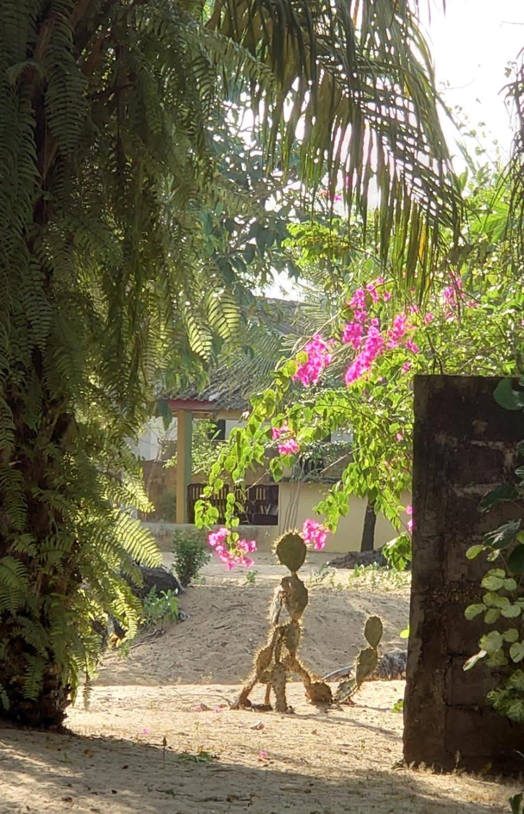 Rundbungalow Auf Lionsrest Grand-Bassam Buitenkant foto